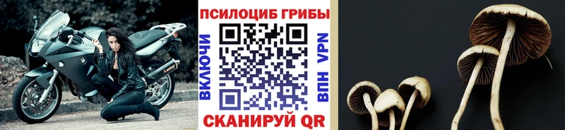 Галлюциногенные грибы ЛСД  купить наркотик  Нерюнгри 